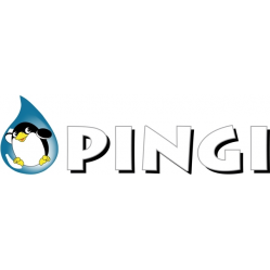 Brand image for PINGI