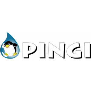 PINGI logo