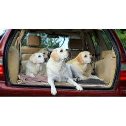 Category image for Pet travel