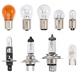 Category image for Bulbs