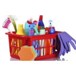 Category image for Cleaning Kits & Gift Packs