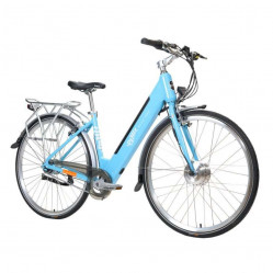 Category image for Pleasure e-bikes