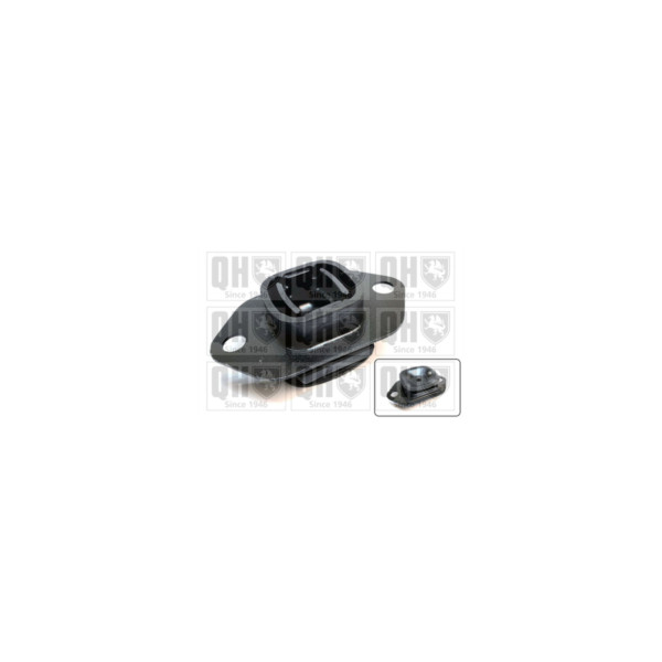 Engine/Transmission Bush/Mount image