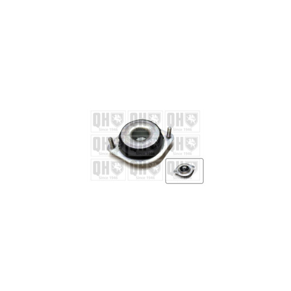 Engine/Transmission Bush/Mount image
