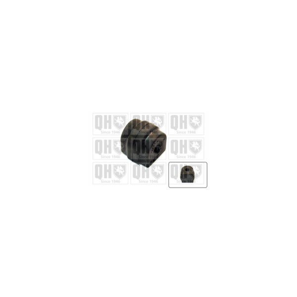 Anti Roll Bar/Stabiliser Bush/Kit image