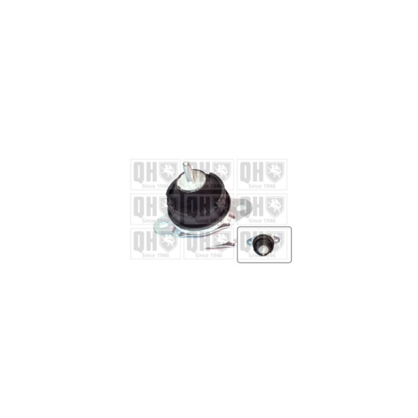Engine/Transmission Bush/Mount image