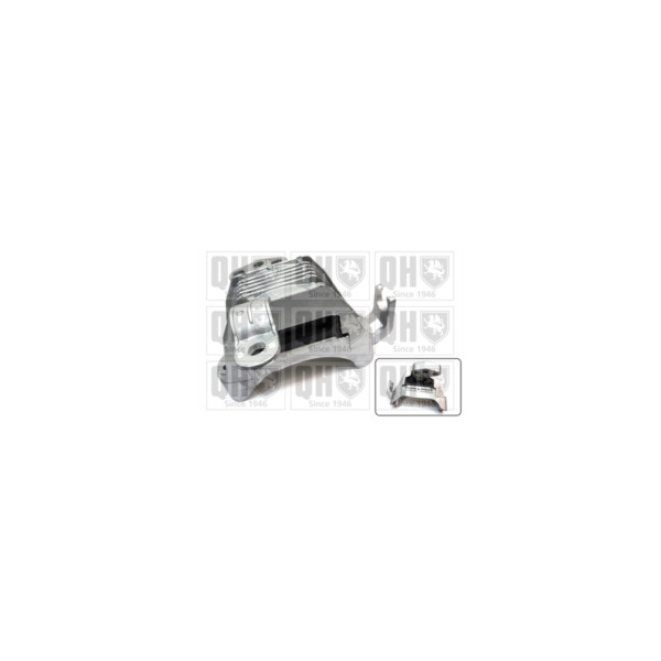 Engine/Transmission Bush/Mount image