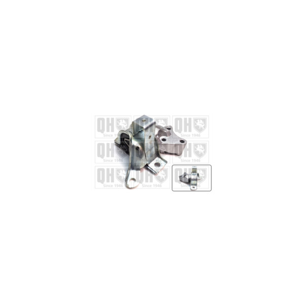 Engine/Transmission Bush/Mount image