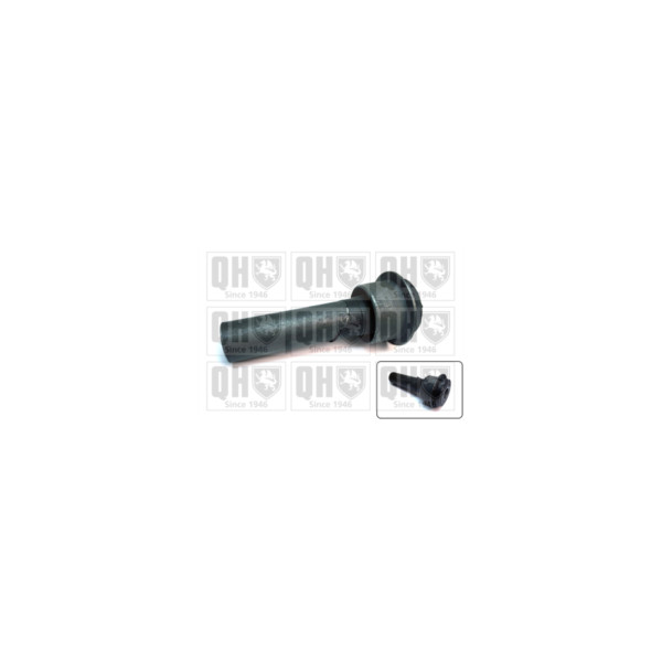 Engine/Transmission Bush/Mount image
