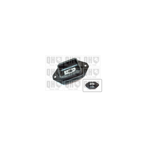 Engine/Transmission Bush/Mount image