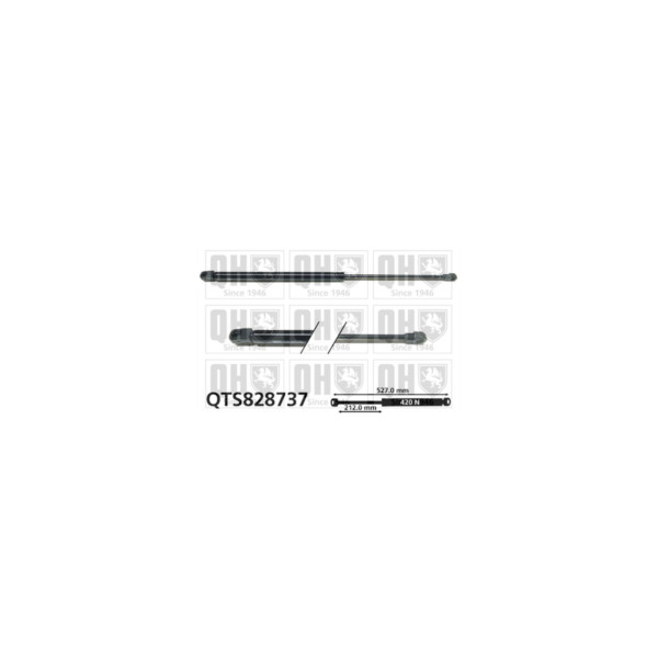 Gas Spring image