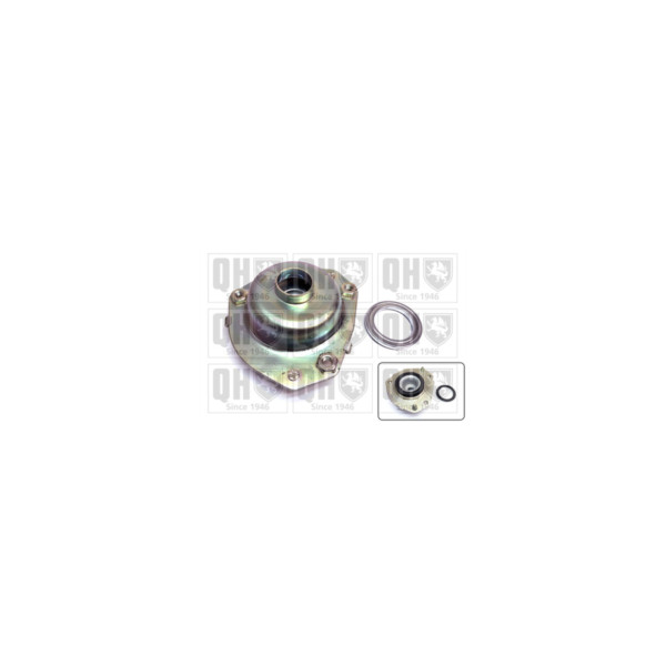 Suspension Strut Repair Kit image