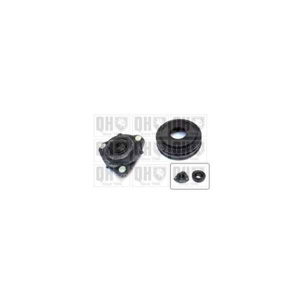 Suspension Strut Repair Kit image
