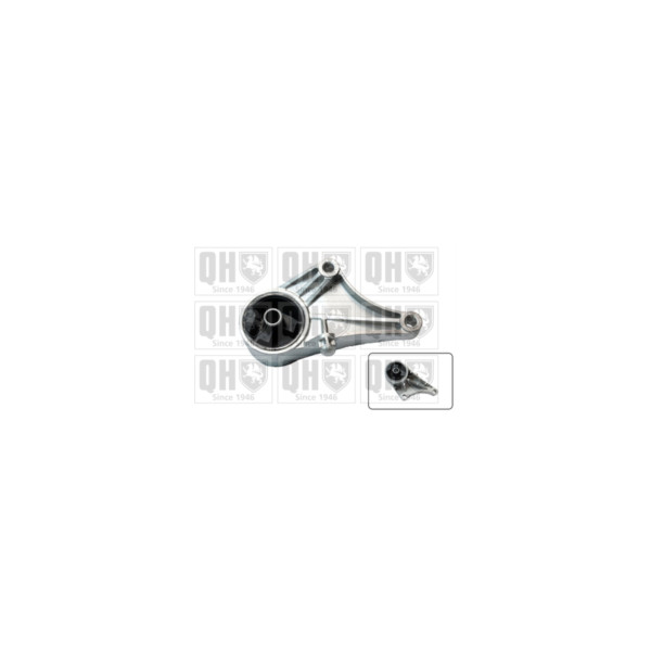 Engine/Transmission Bush/Mount image