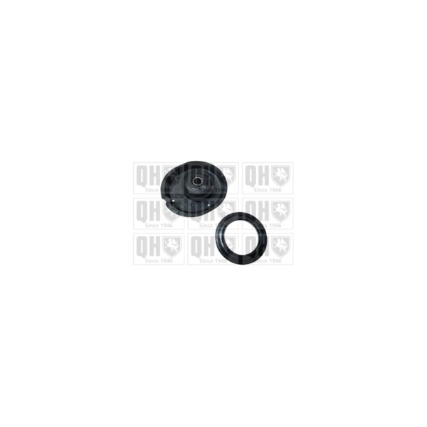 Suspension Strut Repair Kit image