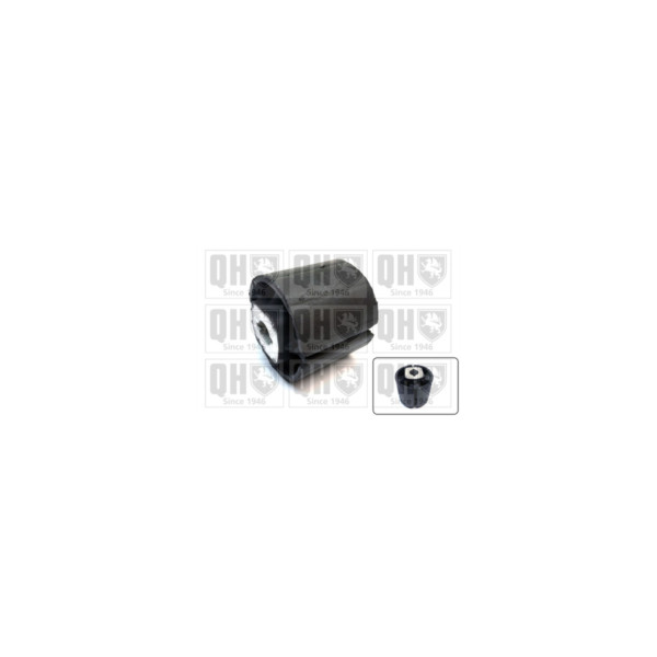 Engine/Transmission Bush/Mount image
