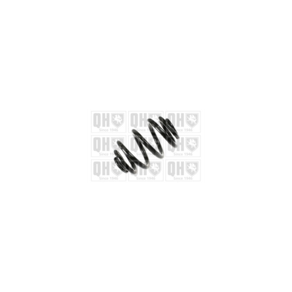 Coil Spring image