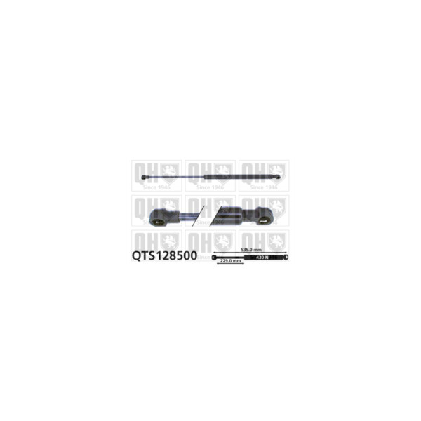 Gas Spring image