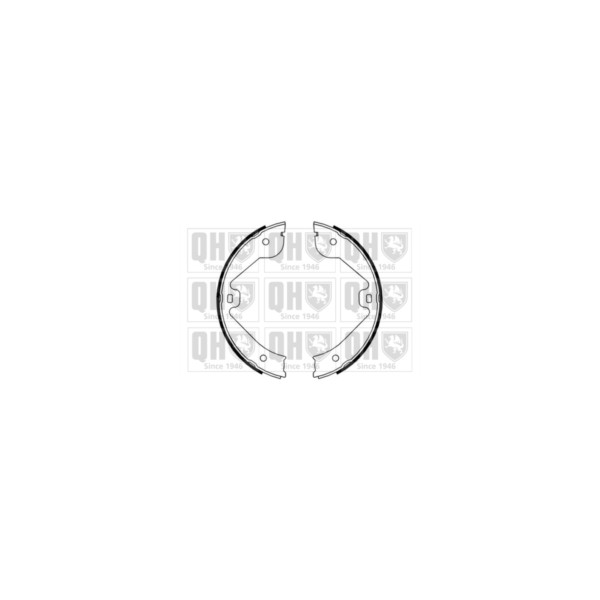 Brake Shoe Set image