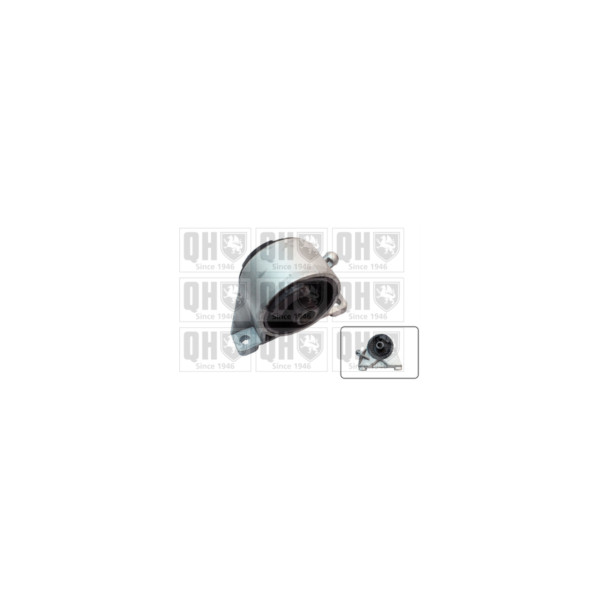Engine/Transmission Bush/Mount image