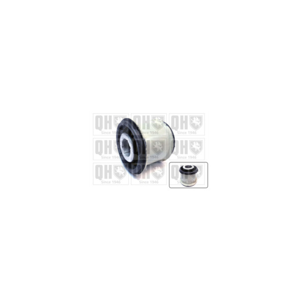 Engine/Transmission Bush/Mount image