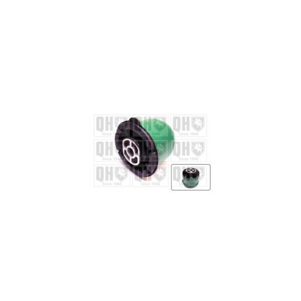 Engine/Transmission Bush/Mount image