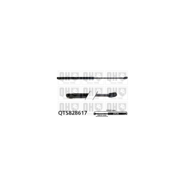 Gas Spring image