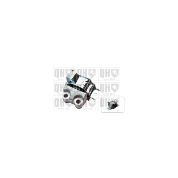 Engine/Transmission Bush/Mount image