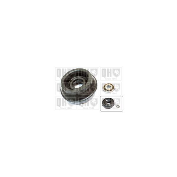 Suspension Strut Repair Kit image