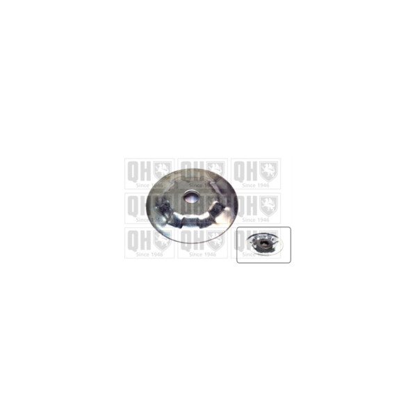 Strut Mount Bearing image
