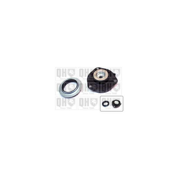 Suspension Strut Repair Kit image