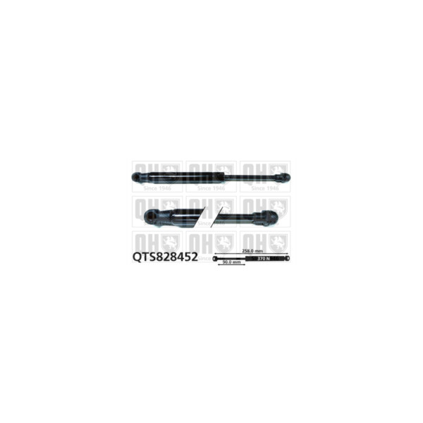 Gas Spring image