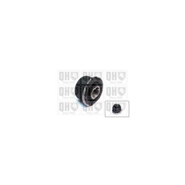 Engine/Transmission Bush/Mount image