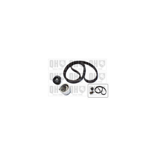 Timing Belt Kit image