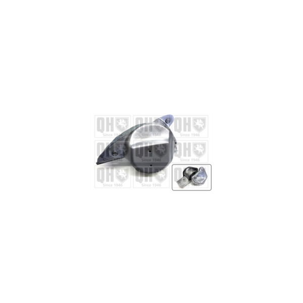 Engine/Transmission Bush/Mount image