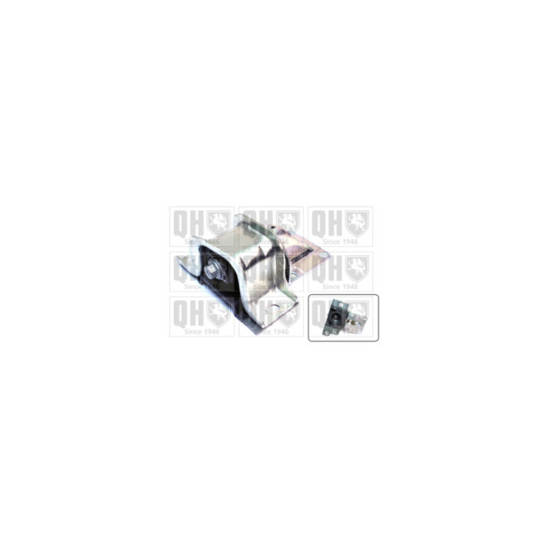 Engine/Transmission Bush/Mount image