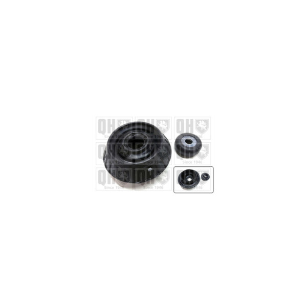 Suspension Strut Repair Kit image