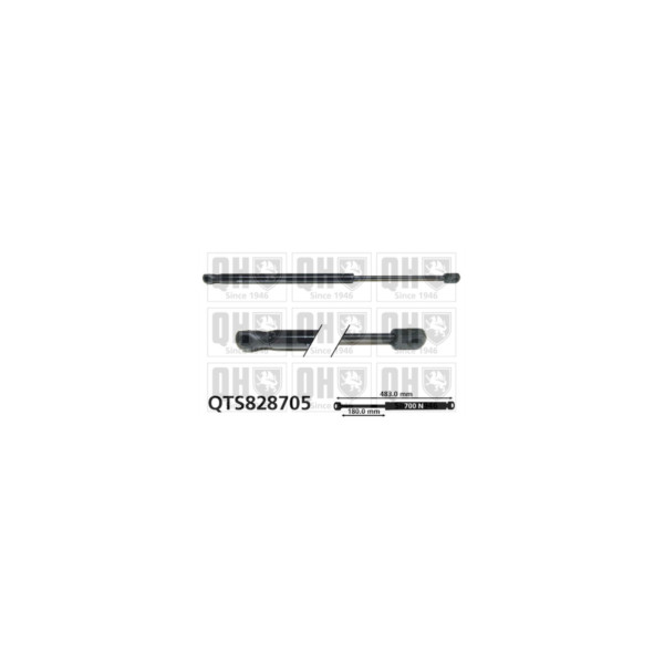 Gas Spring image