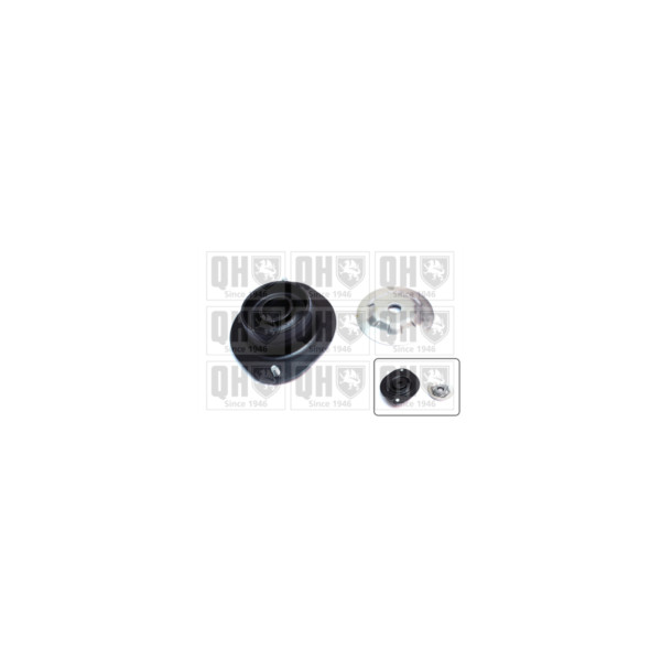 Suspension Strut Repair Kit image