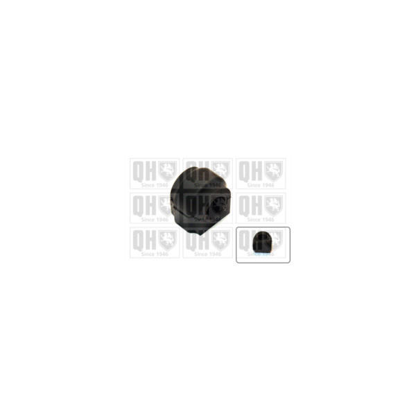 Anti Roll Bar/Stabiliser Bush/Kit image