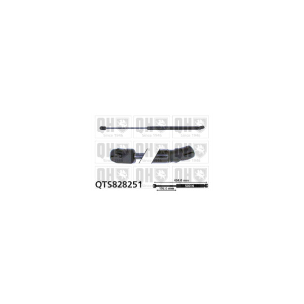 Gas Spring image