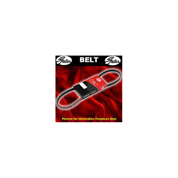 Drive Belt image