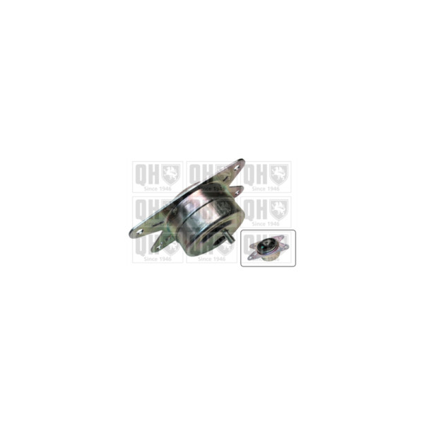 Engine/Transmission Bush/Mount image