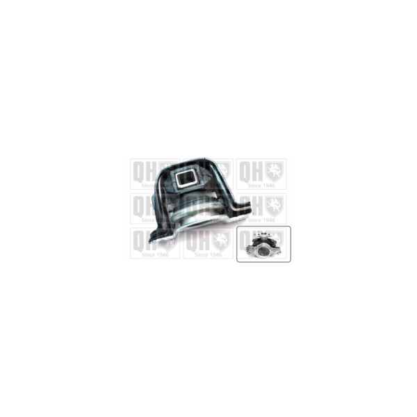 Engine/Transmission Bush/Mount image