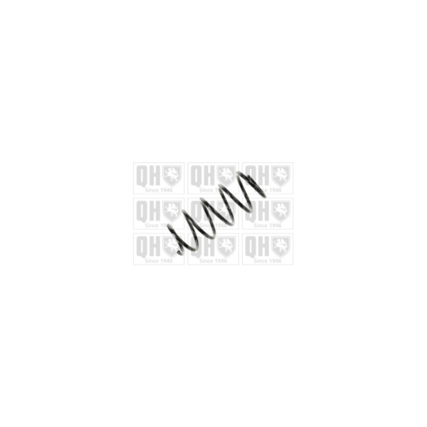 Coil Spring image