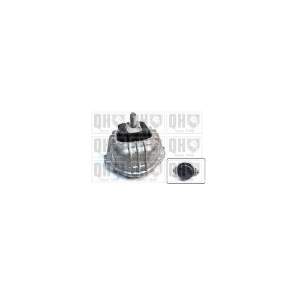 Engine/Transmission Bush/Mount image