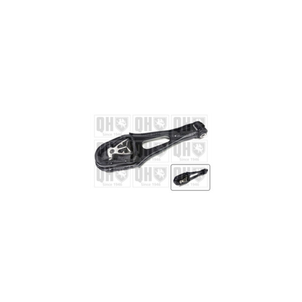 Engine/Transmission Bush/Mount image