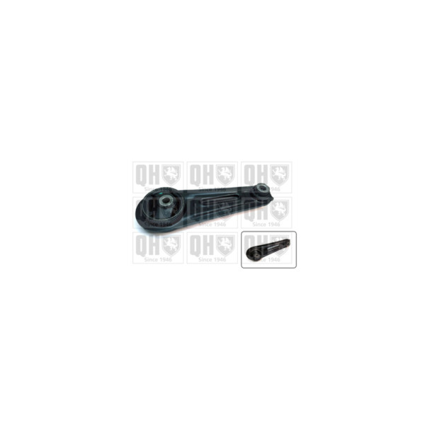 Engine/Transmission Bush/Mount image