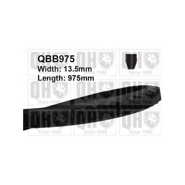 QH QBB975 V-Belt image