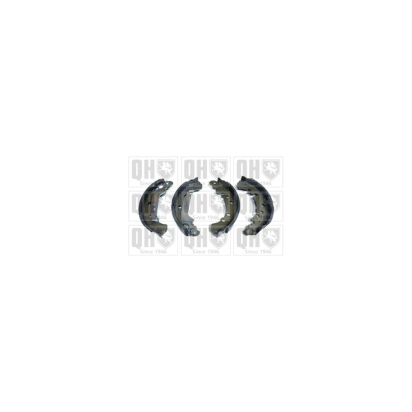Brake Shoe Set image